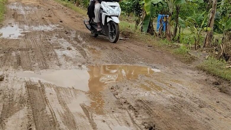 Warga Harapkan Pemerintah Lamsel Perbaiki Jalan Penghubung Desa di Kecamatan Sidomulyo