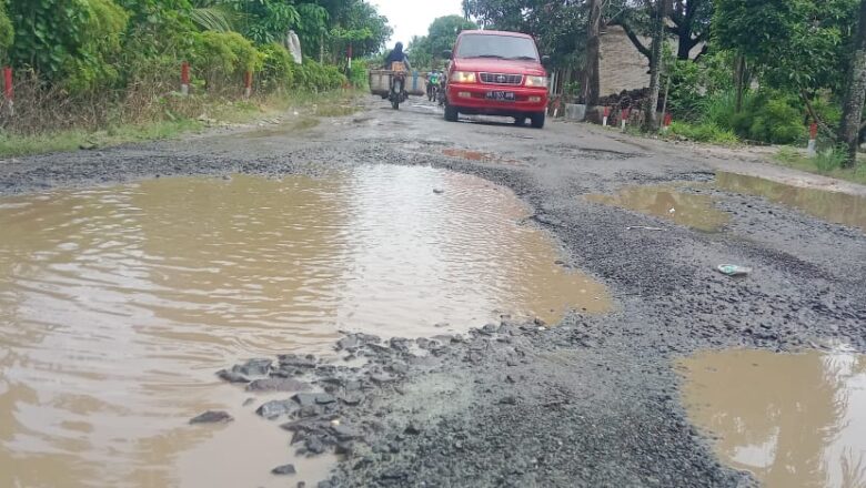 Lapor Bupati Lampung Selatan ini Jalan Apa kolam ikan