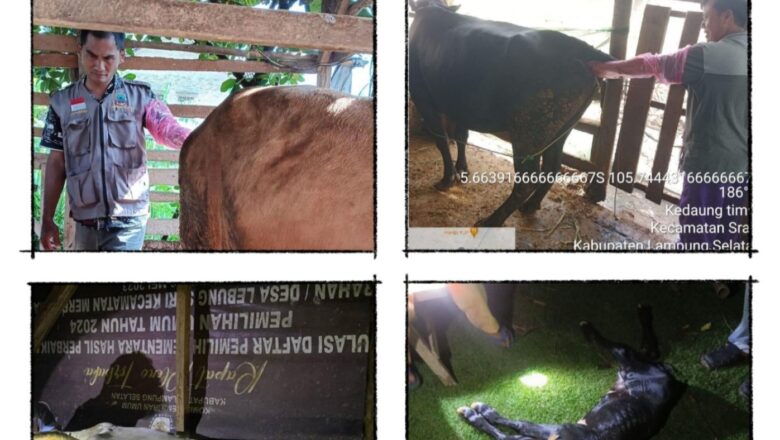 Dukung Program 100 Hari Kerja Bupati Radityo Egi Pratama, Dinas Peternakan Lamsel Luncurkan Inovasi TRIO INSTAN