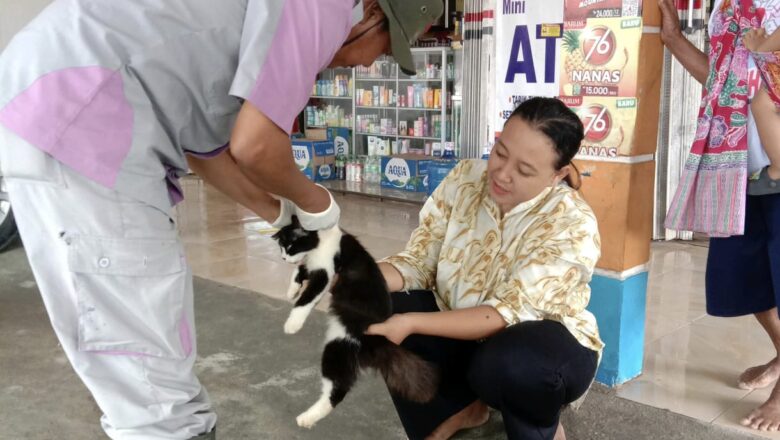 Disnakeswan Lampung Selatan Perketat Pengawasan, UPT Palas-Sragi Vaksinasi PMK dan Rabies