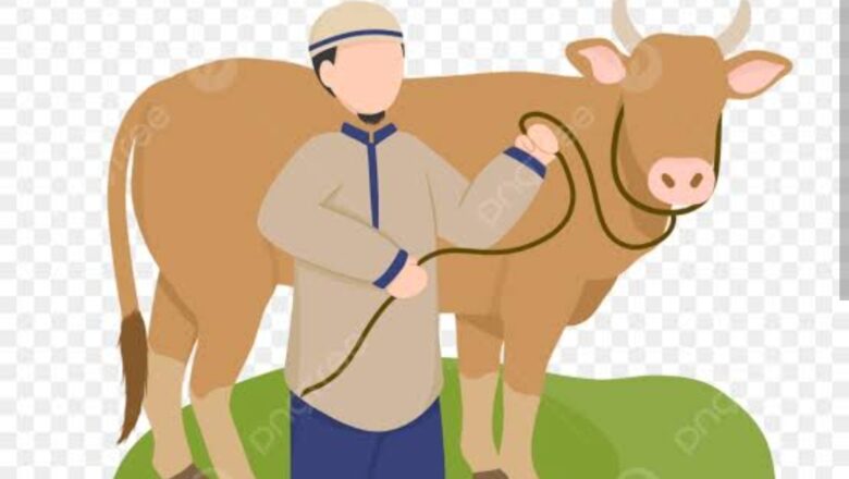 Pembagian Daging Korban Melalui Aspri Bupati Lamsel Menuai Kritik dari Masyarakat