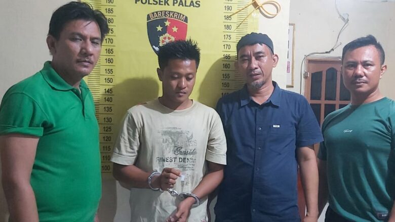 Kembali Polsek Palas Berhasil Amankan Satu Orang Pengedar Sabu di Desa Sukaraja