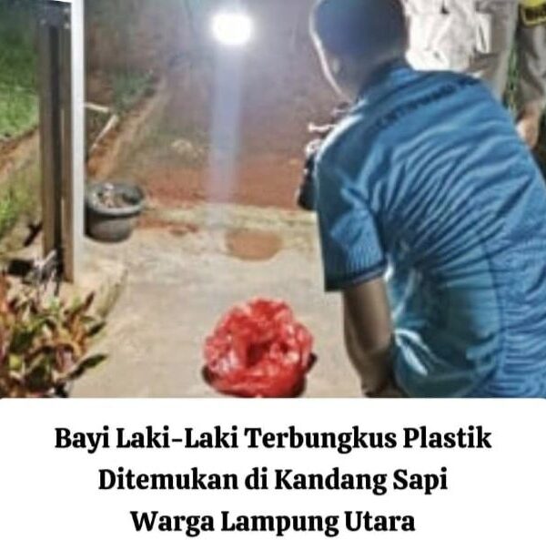 Polisi Selidiki Penemuan Bayi Tanpa Busana di Desa Bojong Barat, Lampung Utara