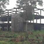 Gedung MPP Mangkrak, Gedung Kaca Terbengkalai, Jembatan Way Bungur Disorot, LSM PRO RAKYAT Desak Kajati Lampung Periksa Bupati Lampung Timur