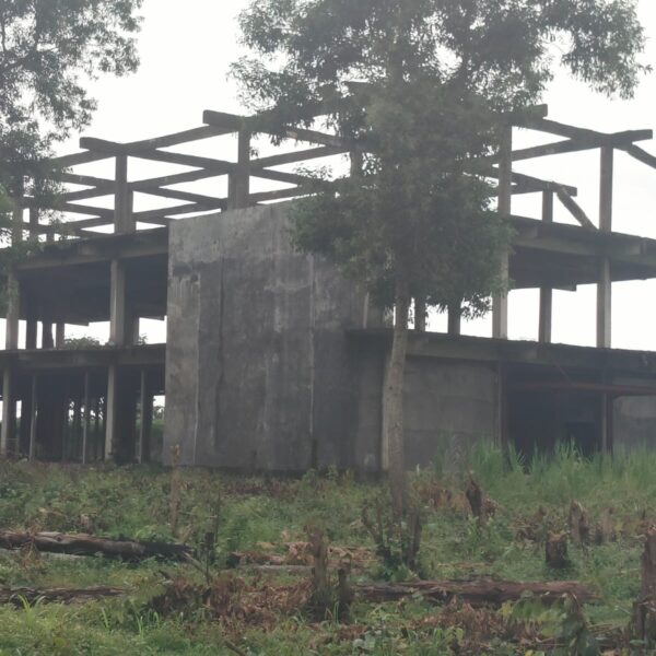 Gedung MPP Mangkrak, Gedung Kaca Terbengkalai, Jembatan Way Bungur Disorot, LSM PRO RAKYAT Desak Kajati Lampung Periksa Bupati Lampung Timur