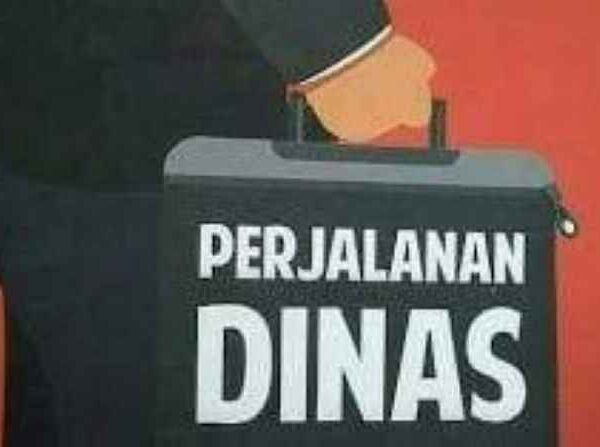 Ditengah Krisis Efisiensi, Anggaran Perjalanan Dinas Sekretariat Daerah Lamsel Tahun 2025 Mencapai Hampir 6 Milyar