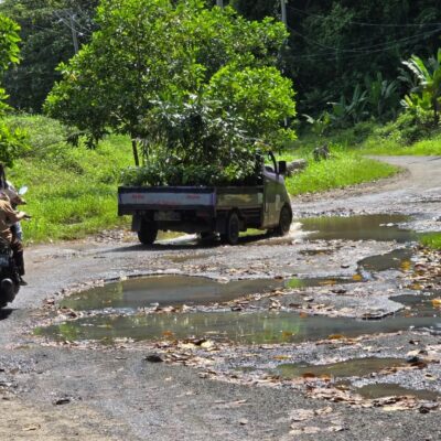 Jalan Way Muli–Rajabasa Rusak dan Sempit, LSM PRO RAKYAT, Jangan Tunggu Tsunami Baru Bertindak!