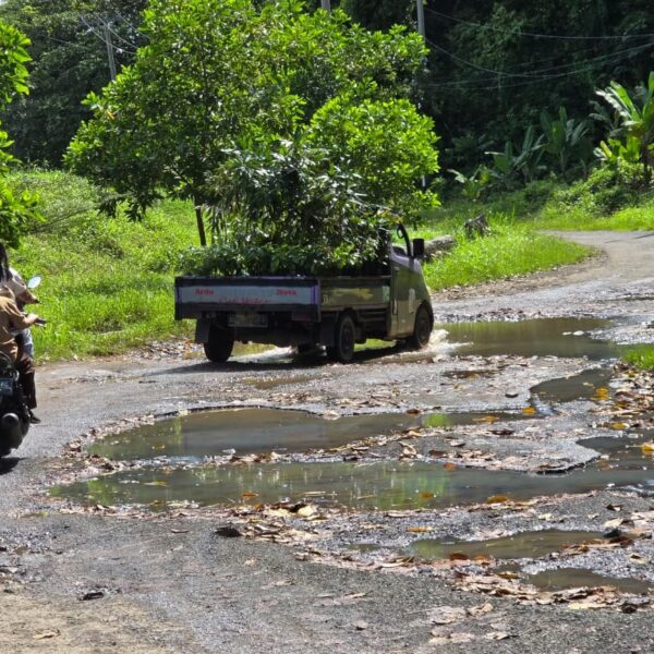 Jalan Way Muli–Rajabasa Rusak dan Sempit, LSM PRO RAKYAT, Jangan Tunggu Tsunami Baru Bertindak!