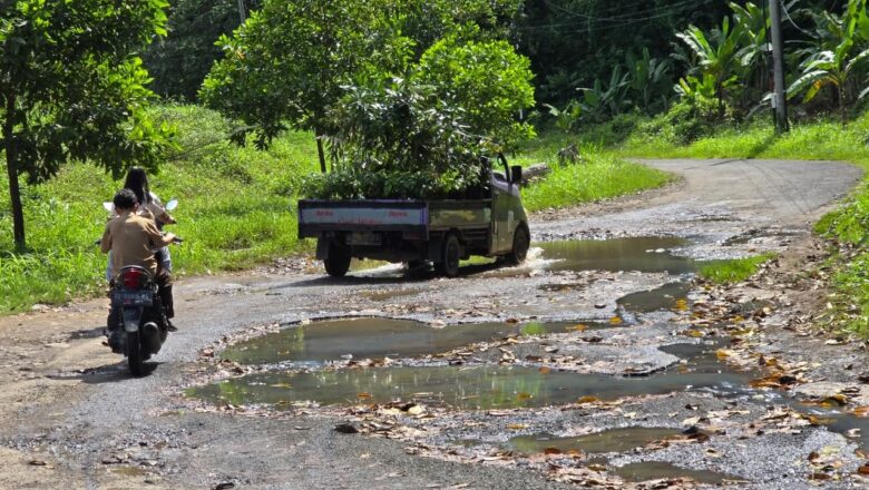 Jalan Way Muli–Rajabasa Rusak dan Sempit, LSM PRO RAKYAT, Jangan Tunggu Tsunami Baru Bertindak!