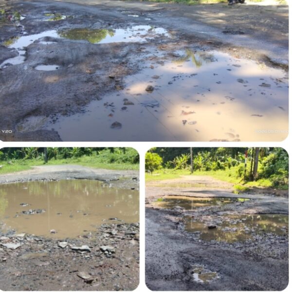 Jalan Pesisir Selatan Lampung Rusak, LSM PRO RAKYAT Pertanyakan Peran Wakil Rakyat