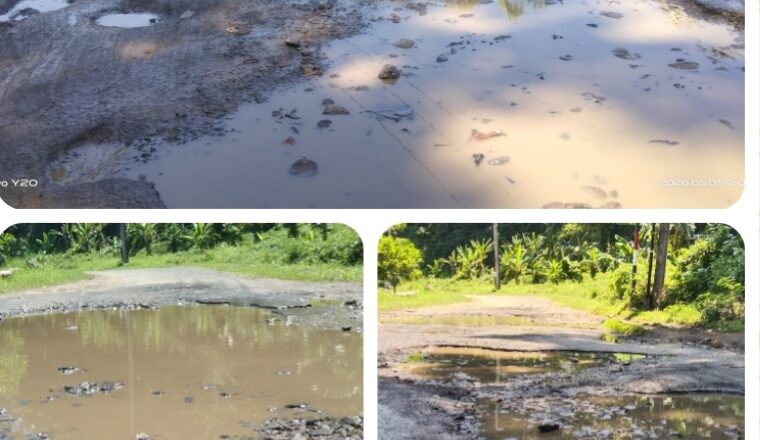 Jalan Pesisir Selatan Lampung Rusak, LSM PRO RAKYAT Pertanyakan Peran Wakil Rakyat