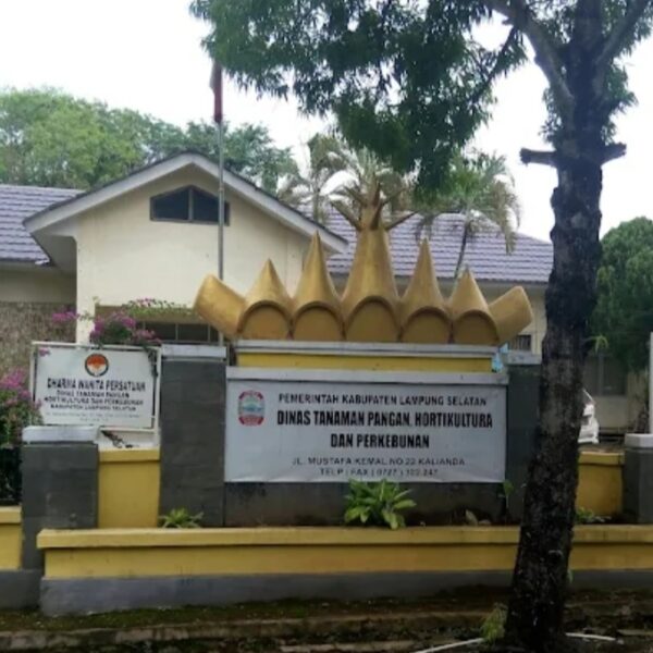 Lampung Selatan Genjot Upaya Mitigasi Kekeringan Demi Jaga Ketahanan Pangan Nasional