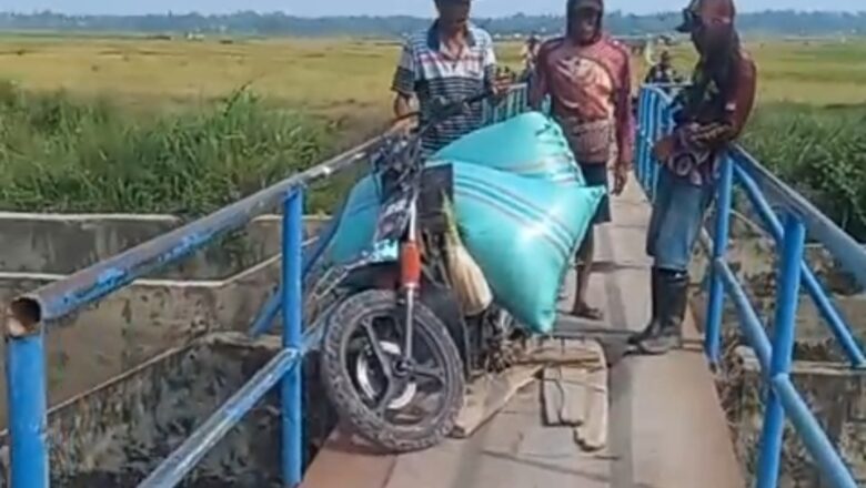 Motor Pengangkut Padi Terperosok Di Jembatan Way Pisang Desa Palas Pasemah, Warga Minta Dibangun